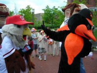 orioles and nationals mascots do battle