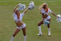 Miami Dolphins cheerleaders