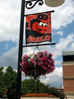 feeling good about the Orioles